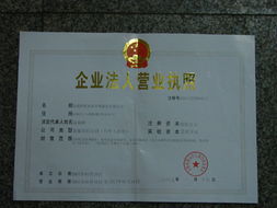 企業護航 從注冊到審計的全方位工商財務指南