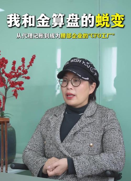 從代理記賬到為腰部企業(yè)做財務(wù)咨詢 一次職業(yè)躍遷的深度解析
